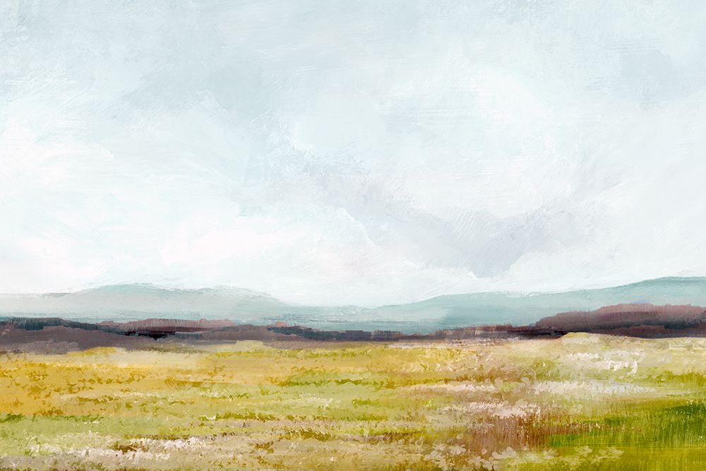 Vast Open Fields Under Sky