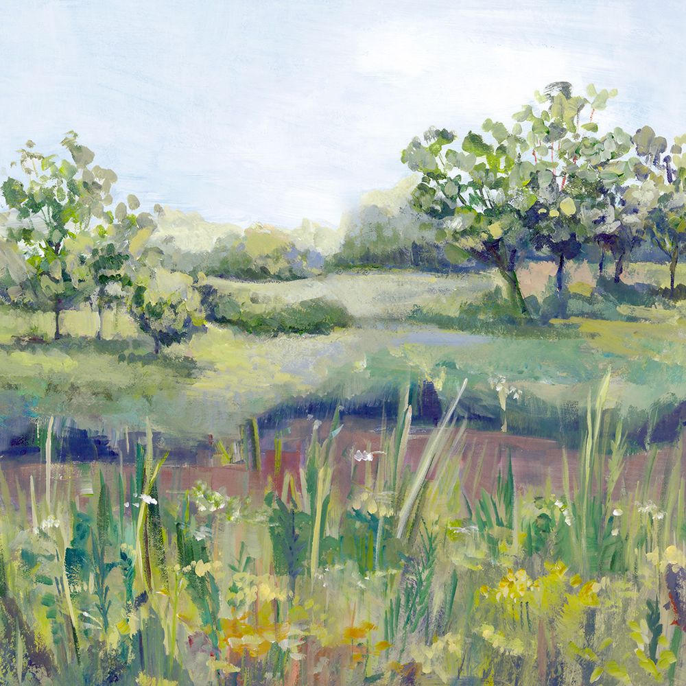 Tranquil Meadow in Sunlight
