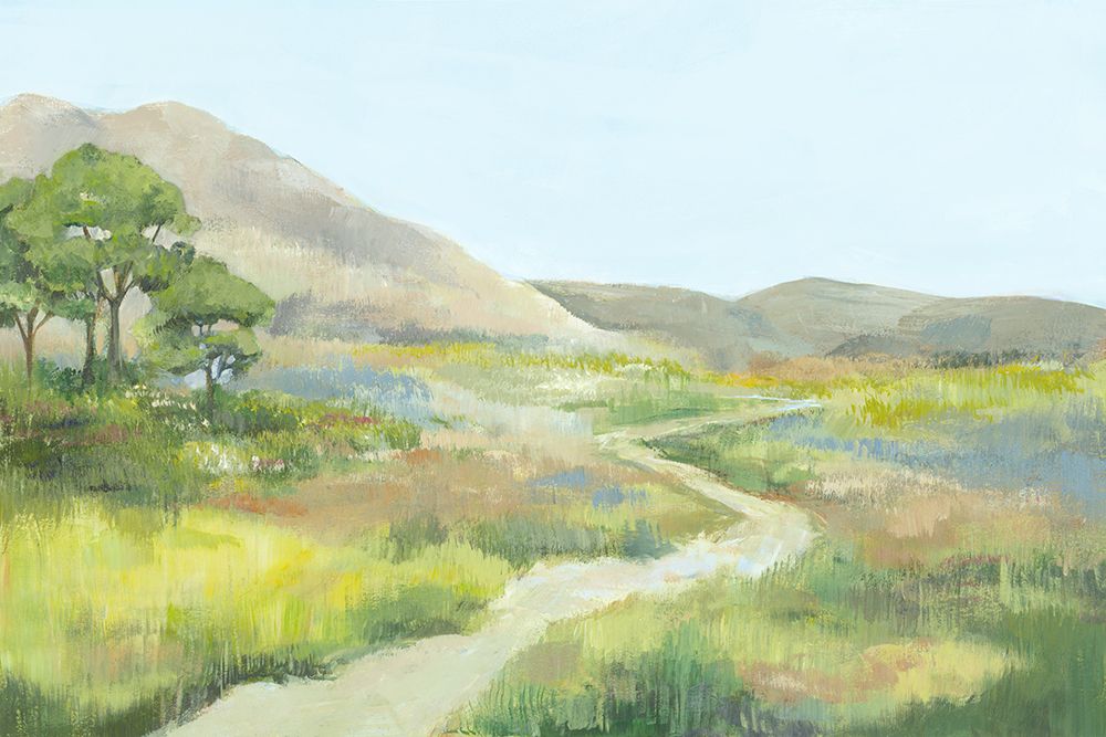 Path Through Serene Landscape