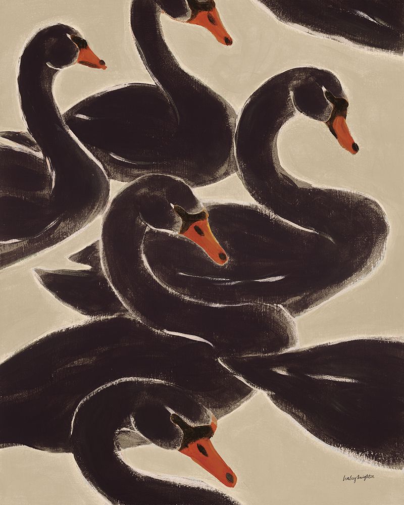 Reprieve Black Swan