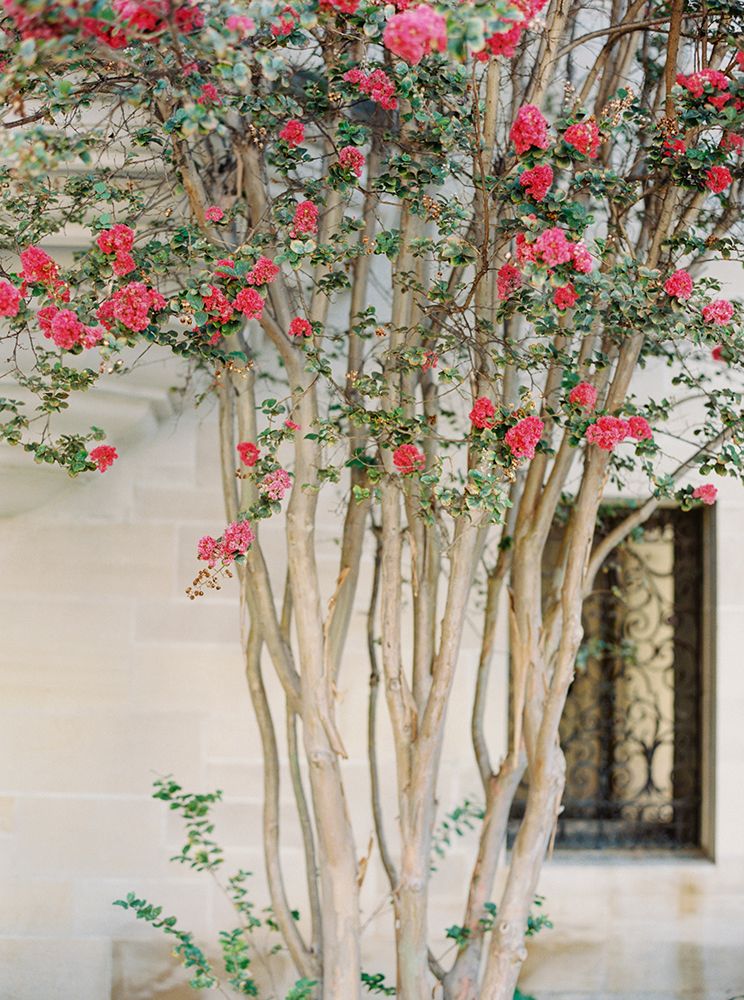 Art Catalog Art Warehouse Chattanooga