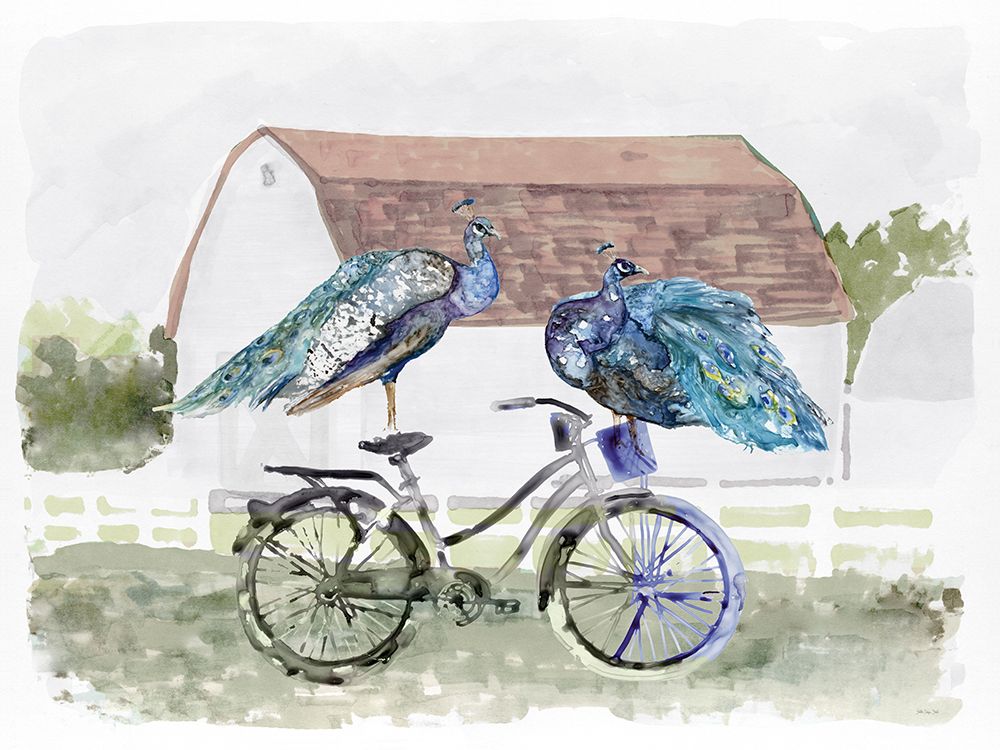 Countryside Peacocks