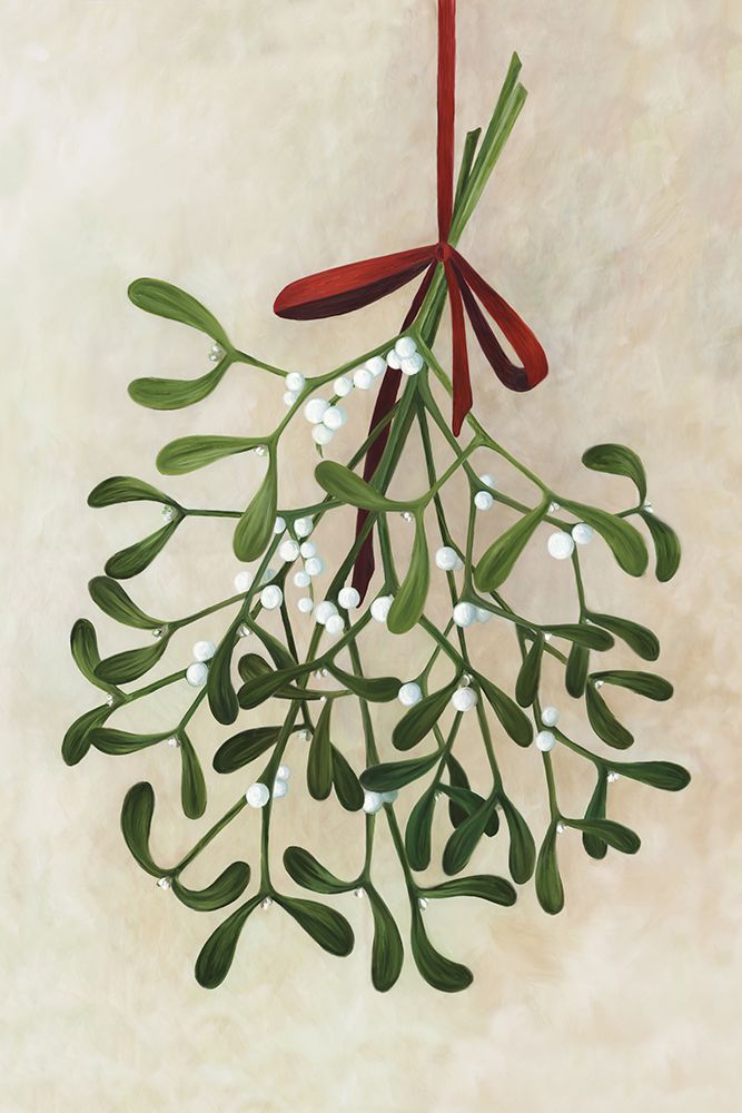 Mistletoe bouquet with bow