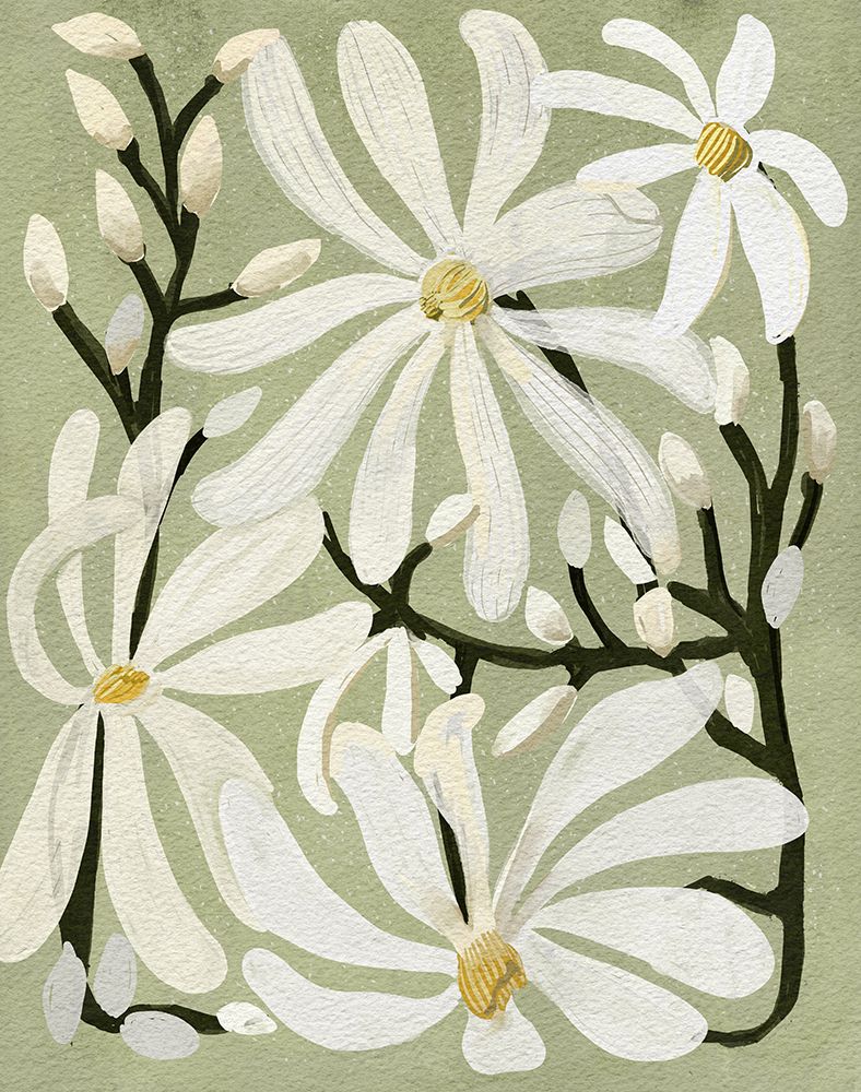 Star Magnolia Florals on Sage background