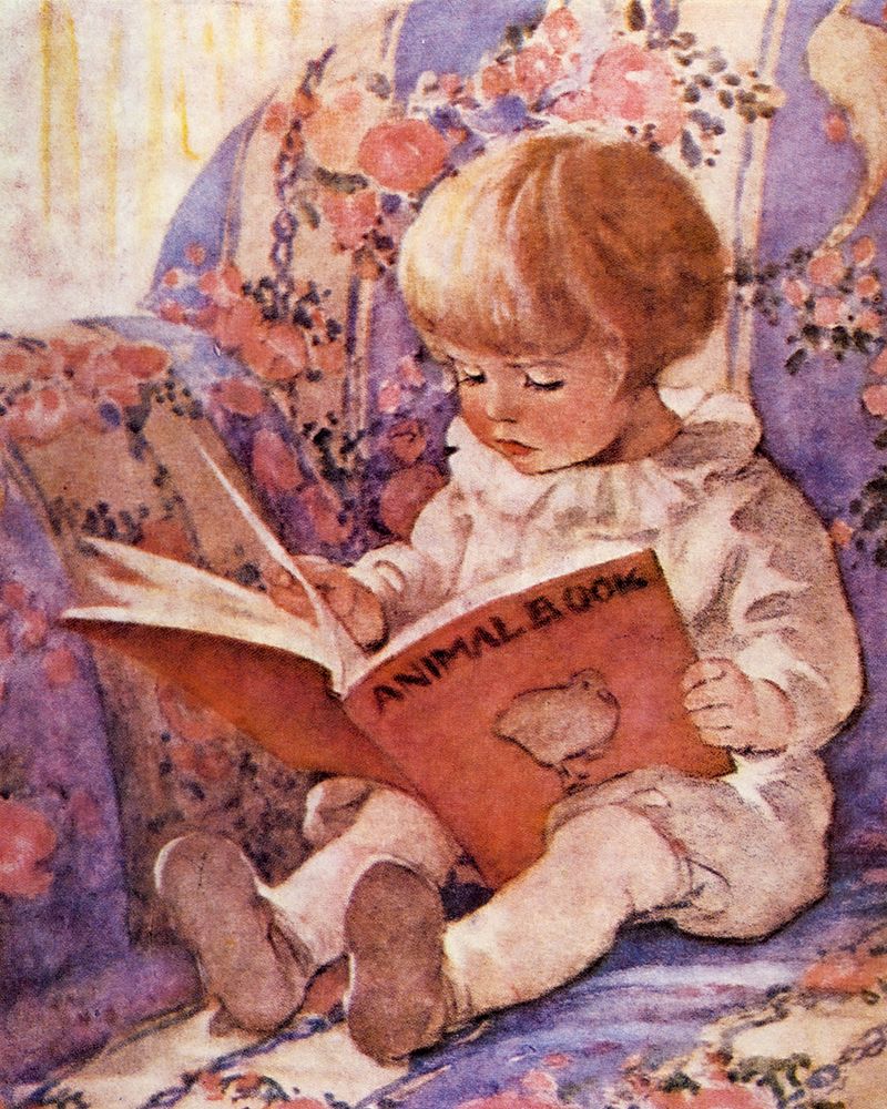 A Childs Book of Country Stories 1925 - The Animal Book