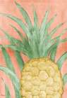 Pineapple Background - Peach Art Print