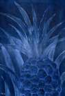 Pineapple Background - Indigo Minimalist Print