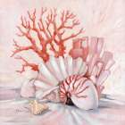 Coral Still Life I - Natural Art Print