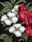 Dogwood - Cardinal Art Print