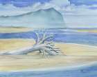 Tillamook Driftwood Art Print