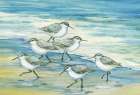 Surfside Sandpipers Art Print