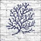 Cape Coral I - White Art Print