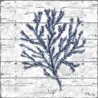 Cape Coral IV - White Art Print