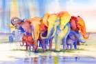 Colorful Herd Art Print