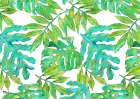 Hawaii Leaves Horizontal - White Art Print