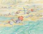 Shells Along the Cape Art Print