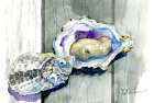 On the Half Shell Art Print