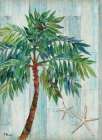 Clearwater Palm I Art Print