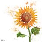 Arianna Sunflowers III - White Art Print