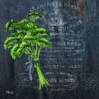 Provincial Herbs III Art Print