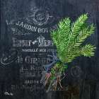 Provincial Herbs IV Art Print
