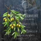Provincial Herbs V Art Print
