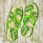 Pompano Sandals IV Art Print
