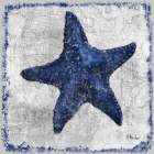 Saltwater Exploration I - Indigo Art Print
