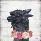 Llama Bloom IV Art Print