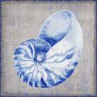 Grenada Shells I - Linen Art Print