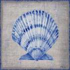 Grenada Shells II - Linen Art Print