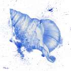 Grenada Shells III Art Print