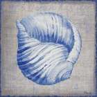 Grenada Shells IV - Linen Art Print
