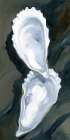 Oysters Close Up III - Dark Brown Art Print