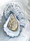Oyster Close Up VII - White Art Print