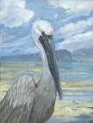 Salty Pelican Art Print