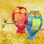 Bird Buddies I - Owls Art Print