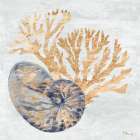 Shimmering Shells I - Indigo Art Print