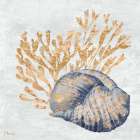 Shimmering Shells IV - Indigo Art Print