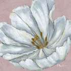 Floral Bloom I - Pink Art Print