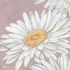 Floral Bloom IV - Pink Art Print