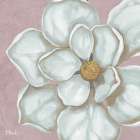 Floral Bloom V - Pink Art Print