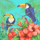 Tropical Fresh II - Aqua Art Print