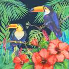 Tropical Fresh II - Midnight Art Print