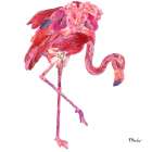 Feathered I Art Print