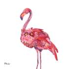 Feathered II Art Print