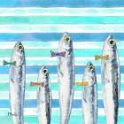 Party Fish II Art Print