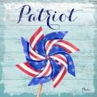 Patriotic Pinwheel IV Art Print