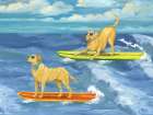 Surf Pup Horizontal - Sunglasses Art Print
