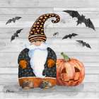 Halloween Gnome III Art Print